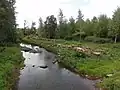سورمون في شيلي.