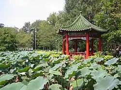 Pavilion in the تايوان Botanical Gardens