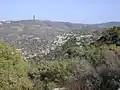 صورة تُظهر غابة في منطقة الكرمل، تعكس الطبيعة الخضراء والتنوع النباتي في المنطقة.