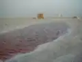 بركة في شط الجريد.