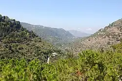 جبل الشوف.