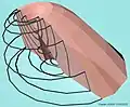 Parabolic Spindle Cyclide