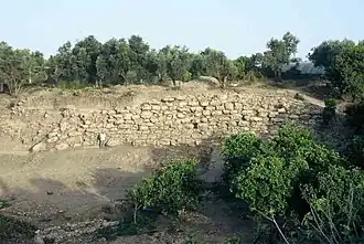 جدار مدينة تل تويني