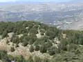 لقطة مقربة لنقطة مراقبة جميلة