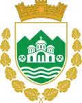 بروتشتيب