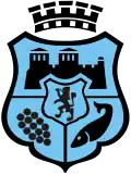 فيدين