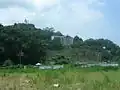 كولنيا