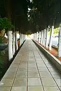 الممر الخلفي لكلية الآداب.