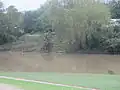 نهر كولورادو شرق كولومبوس، تكساس