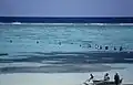 قرية صيد
