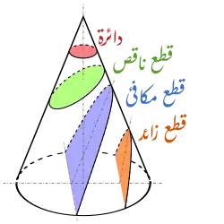 لا يوجد