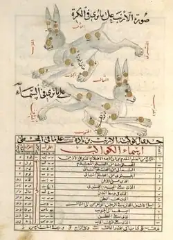 كوكبة الأرنب