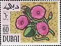 لبلاب ثلاثي الألوان(Convolvulus minor)