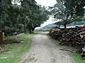 منتزة طبيعي