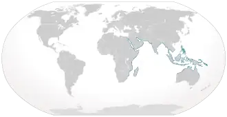 World map with blue coloring all around the periphery of the Indian Ocean from South Africa to northern Australia, and through Southeast Asia including the Philippines and New Guinea