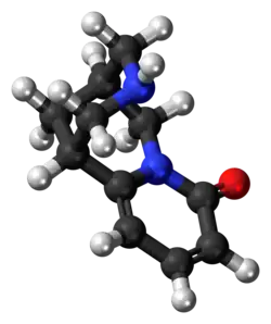 Ball-and-stick model of the cytisine molecule