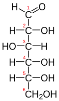 إسقاط فيشر of D-glucose