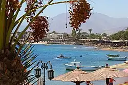 شاطئ دهب.