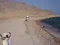 شاطئ دهب.