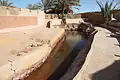 عين بالواحة