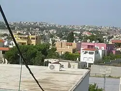 جانب لدالية الكرمل