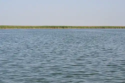 هور الدلمج في قضاء عفك