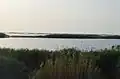 صورة من هور الدلمج