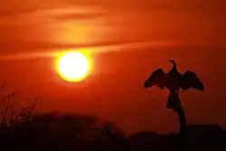 المتنزه عند لحظة الغروب