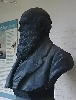 في جامعة كامبريدج.