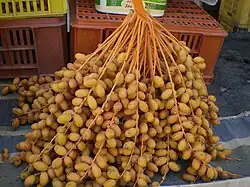 تمر بسر حلو تونسيّ