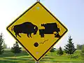 U.S. (Alaska) Bison may ram cars (hand-painted).