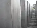 درب بين صفوف الشواهد.