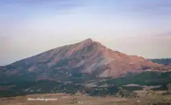بوخضرة