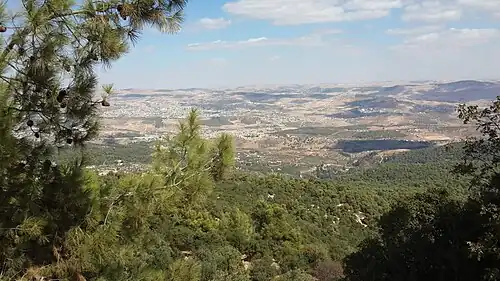 غابات دبّين في محافظة جرش.