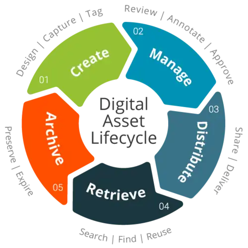 Digital asset lifecycle.