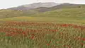 منظر محادي، من الغرب
