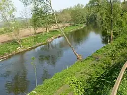 Jihlava near Dolní Kounice