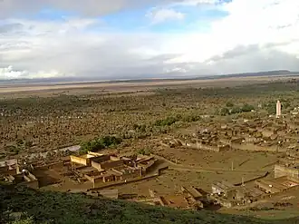 اشجار نخيل و اصبع يشير لجذع بعيد