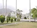 وسط البلد باستير