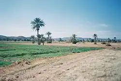 وادي درعة
