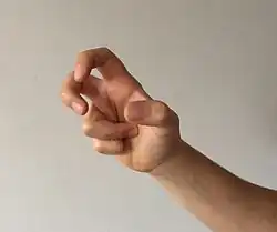 أسلوب التنين الجنوبي