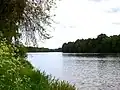 نَهر درامن