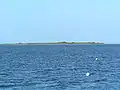 صورة لجزيرة البط