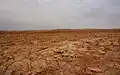 صحراء دلول كما ترى من دلول