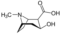 إيكغونين