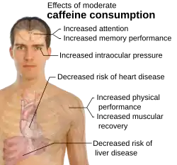 Lines from explanatory text point to portions of the body.