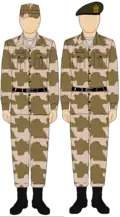 الزي المموه الموحد