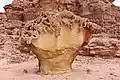 واحة غير خضرة، نويبع، جنوب سيناء، مصر.