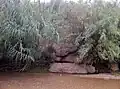 الهامل