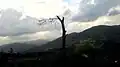 سوفلات المقراني